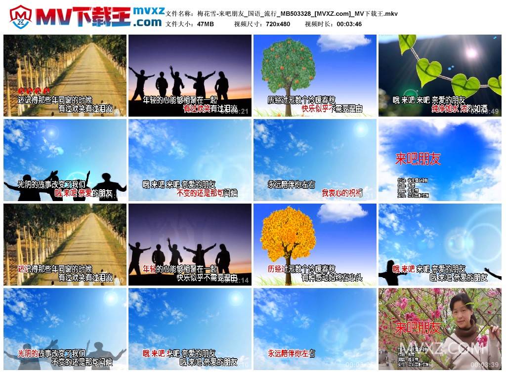 梅花雪-来吧朋友_国语_流行_MB503328